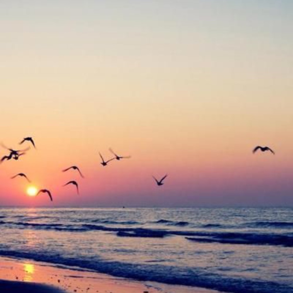 Meet your Posher, Barbra